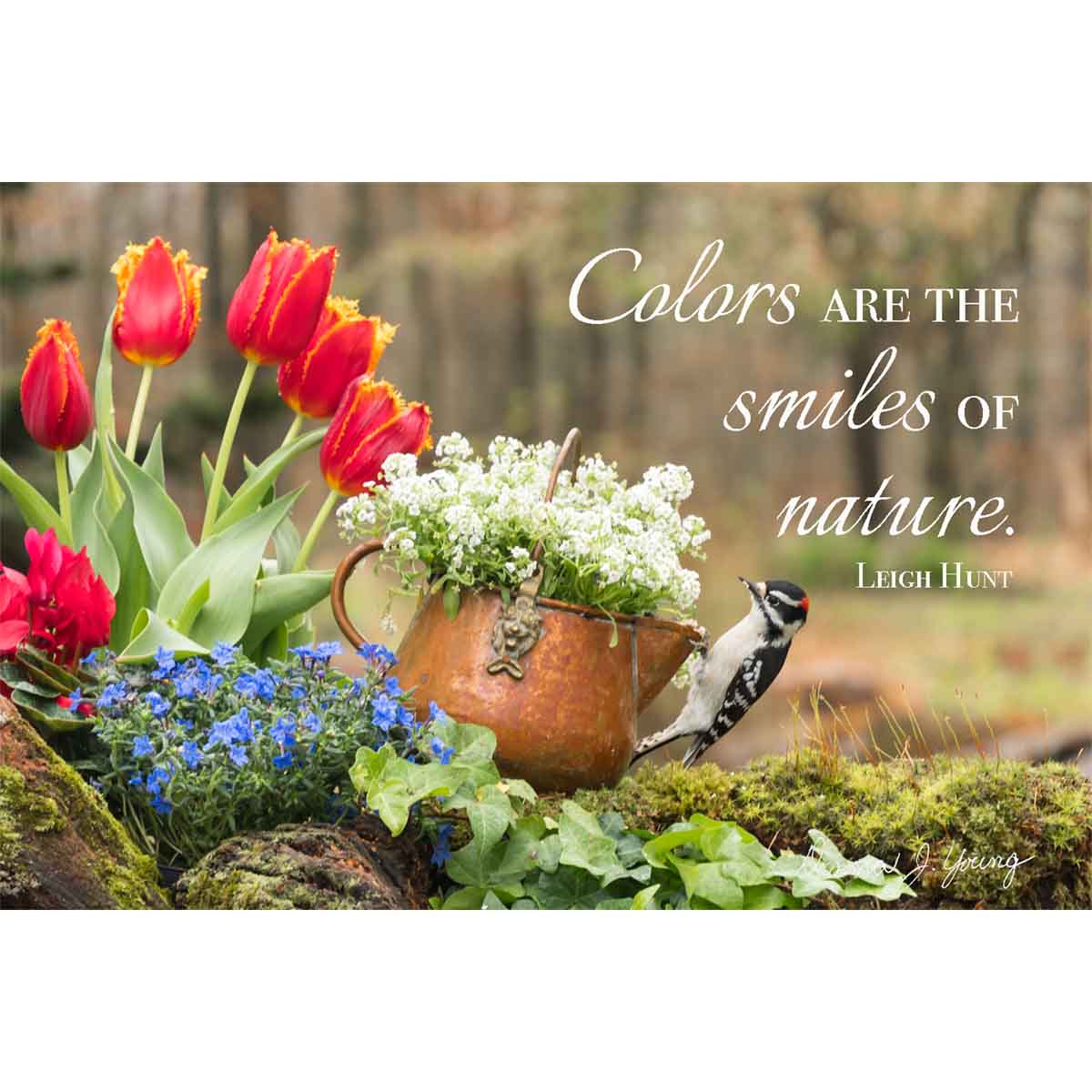 Smiles of Nature