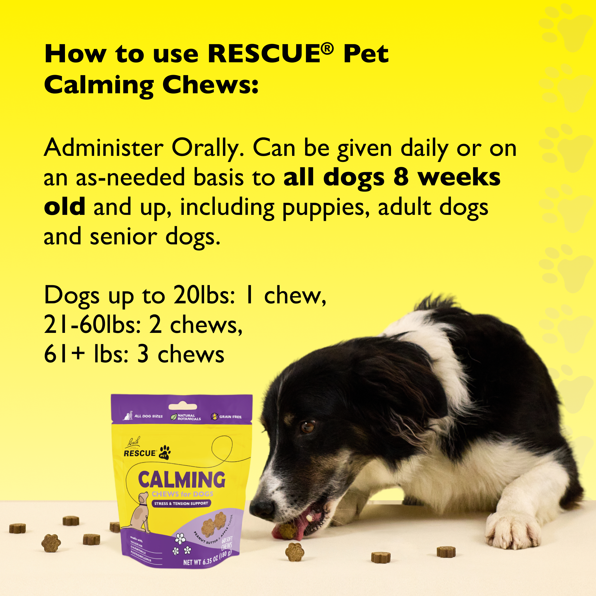 RESCUE Pet Calming Chews for Dog 60 count
