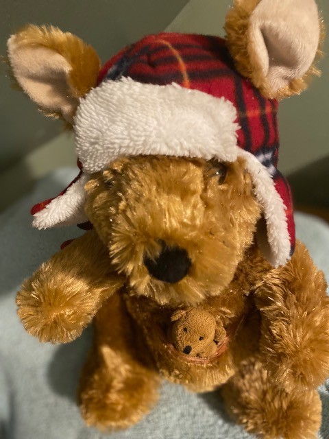 2014 Sydney & Joey Kangaroo Plush Ron Banafato RBI Fred Meyer 14" Plush