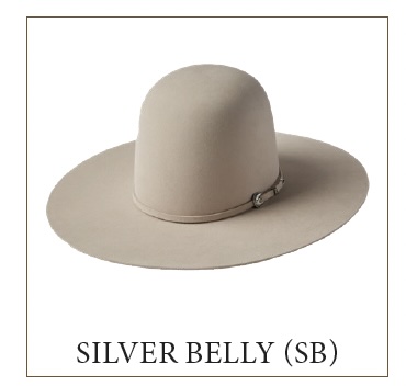 Serratelli 20X Fur Felt Cowboy Hat