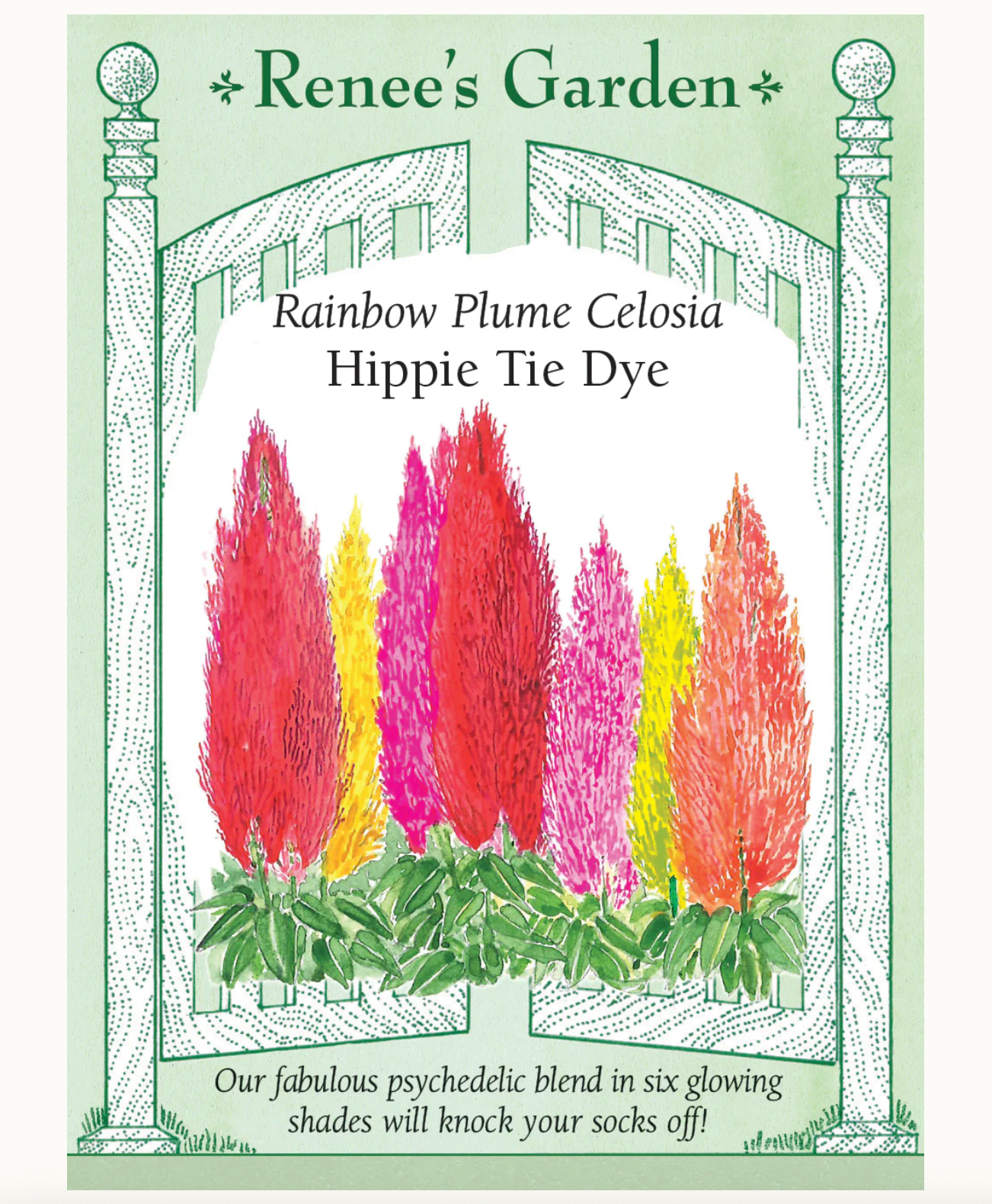 Renee's Garden | Rainbow Plume Celosia Hippie Tie Dye