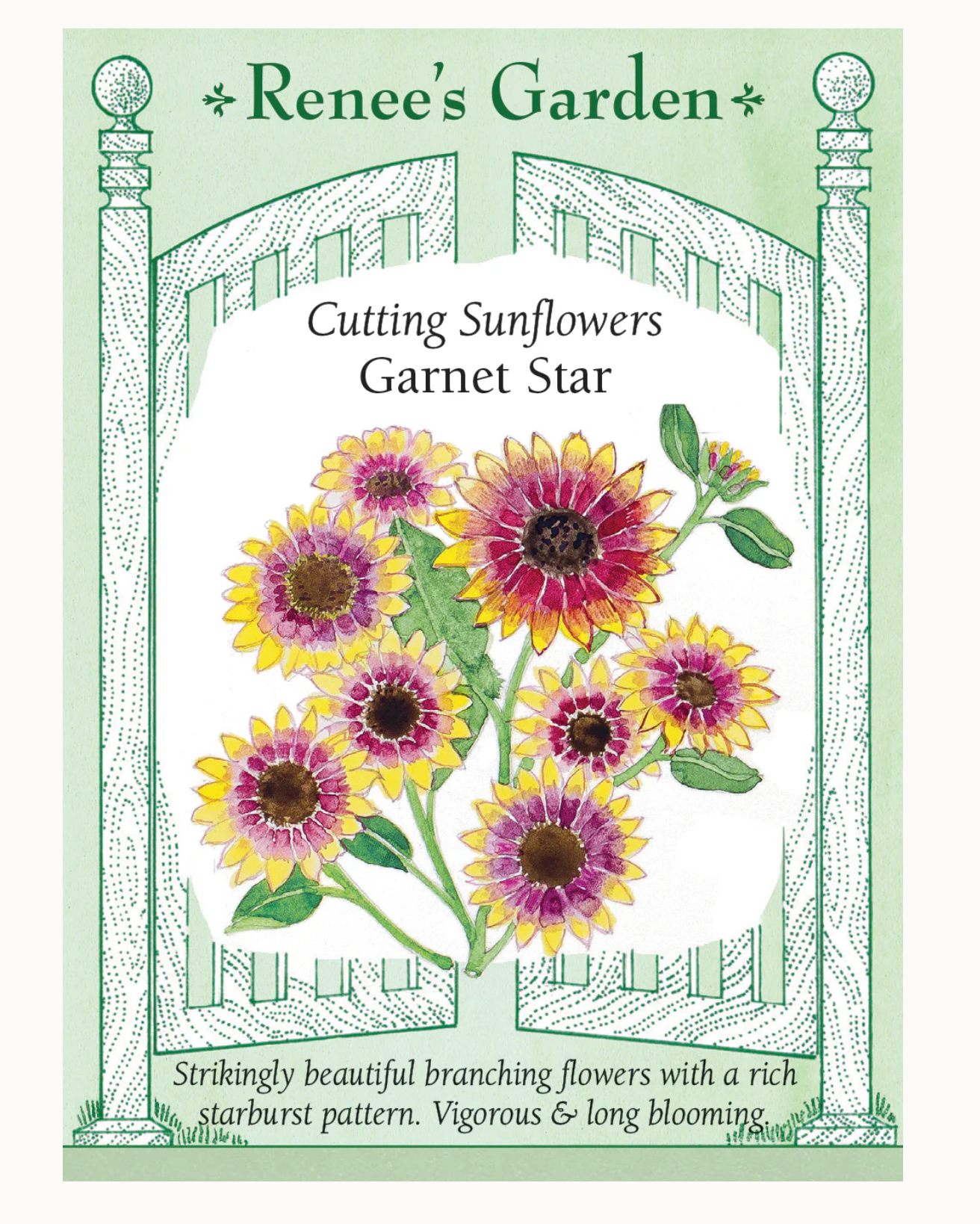 Renee's Garden | Cutting Sunflowers Garnet Star