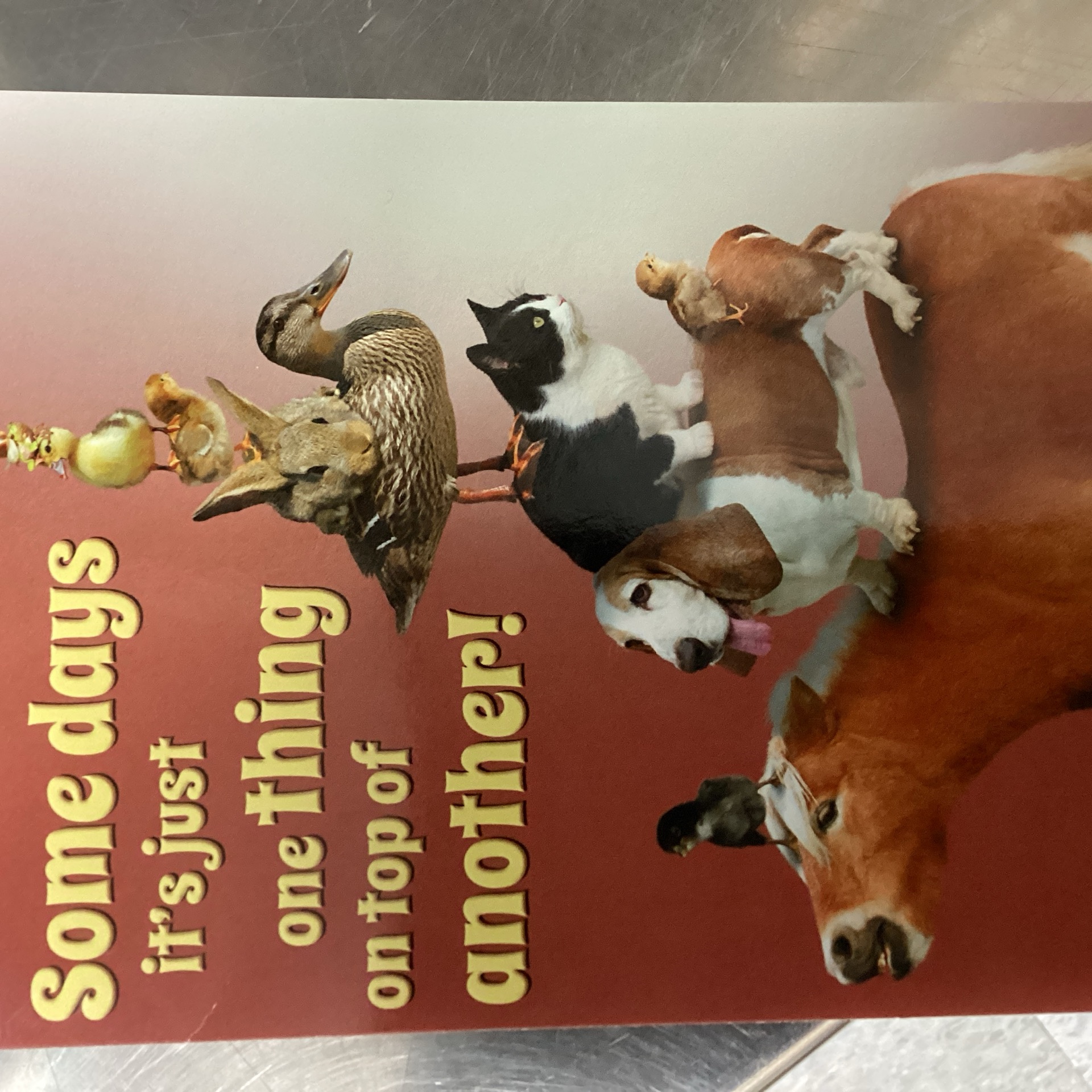 Some days it's just one thing on top of another