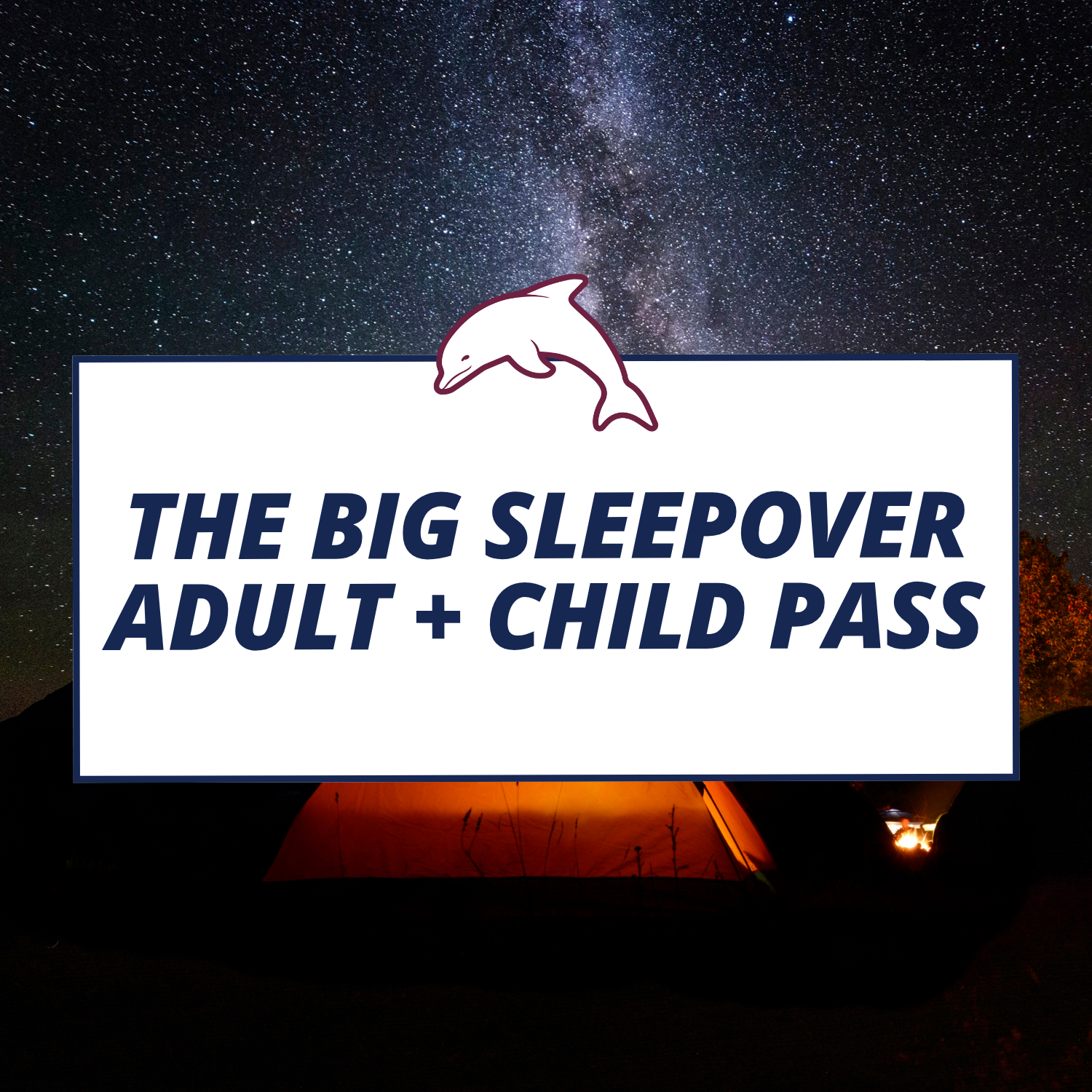 The Big Sleepover - Adult + Child Pass