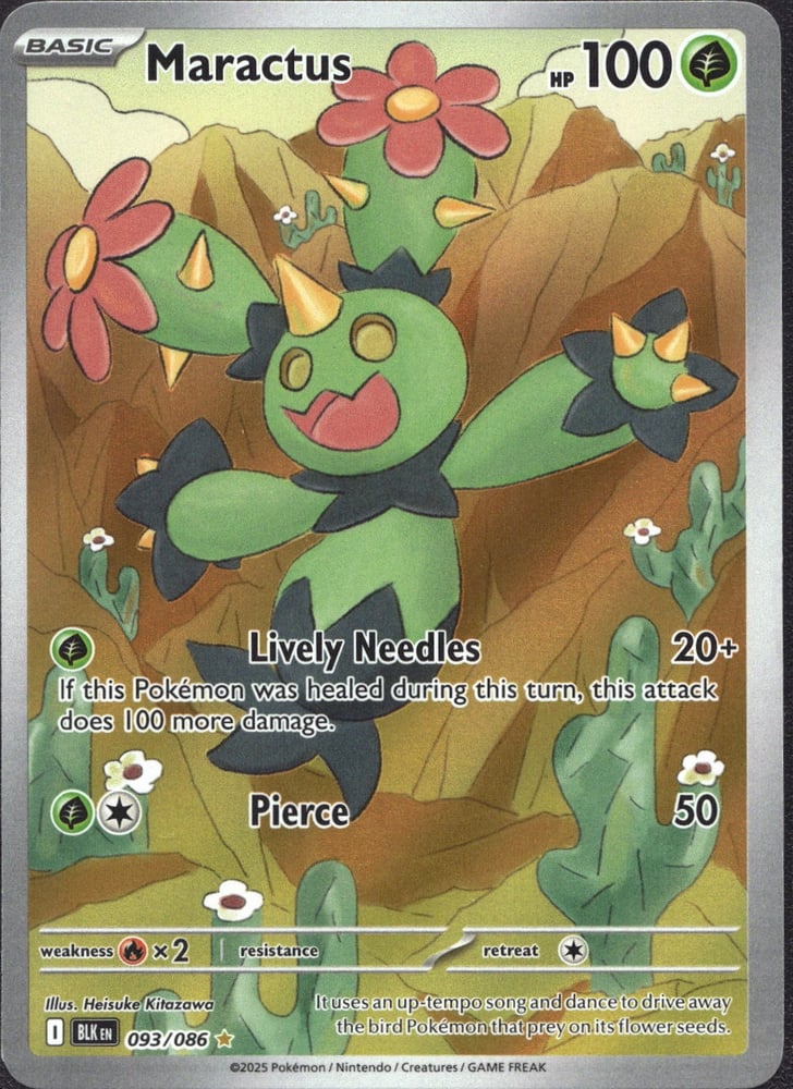 Maractus - SV10.5B 93/86