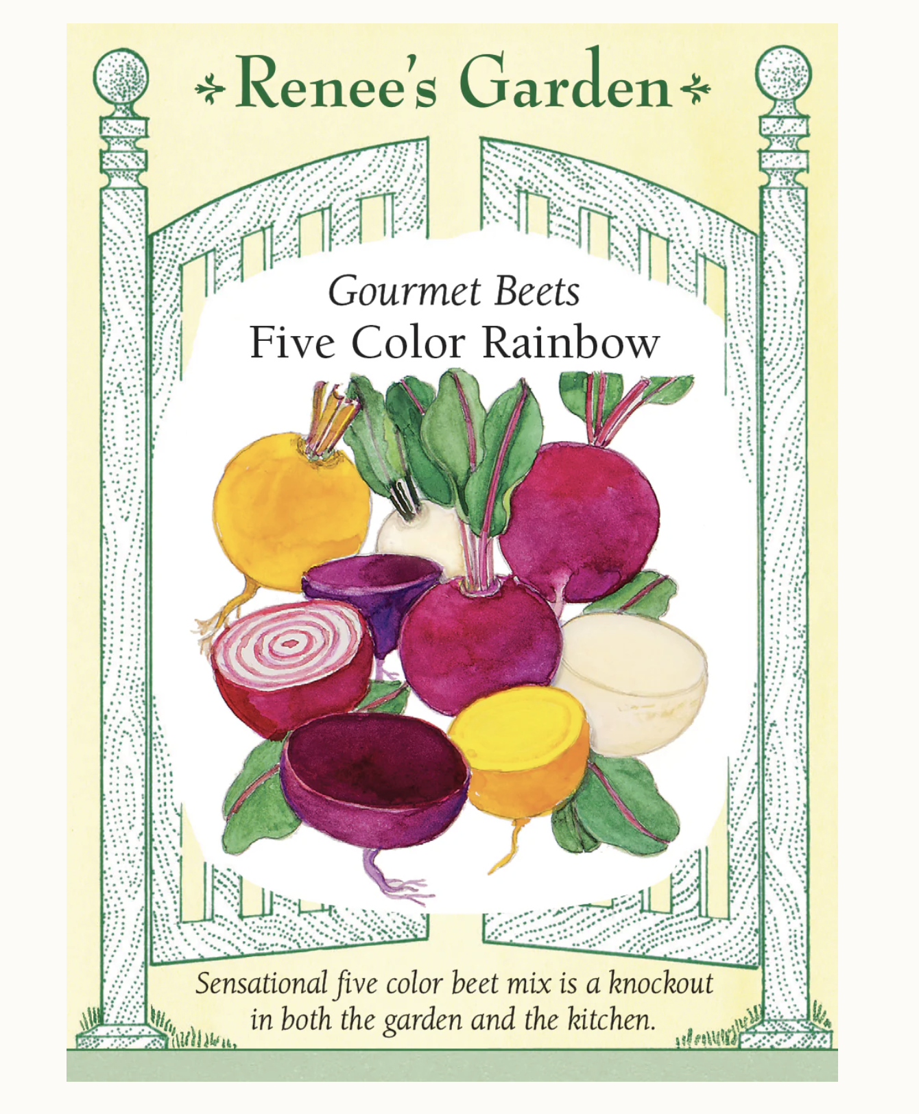 Renee's Garden | Gourmet Beets Five Color Rainbow