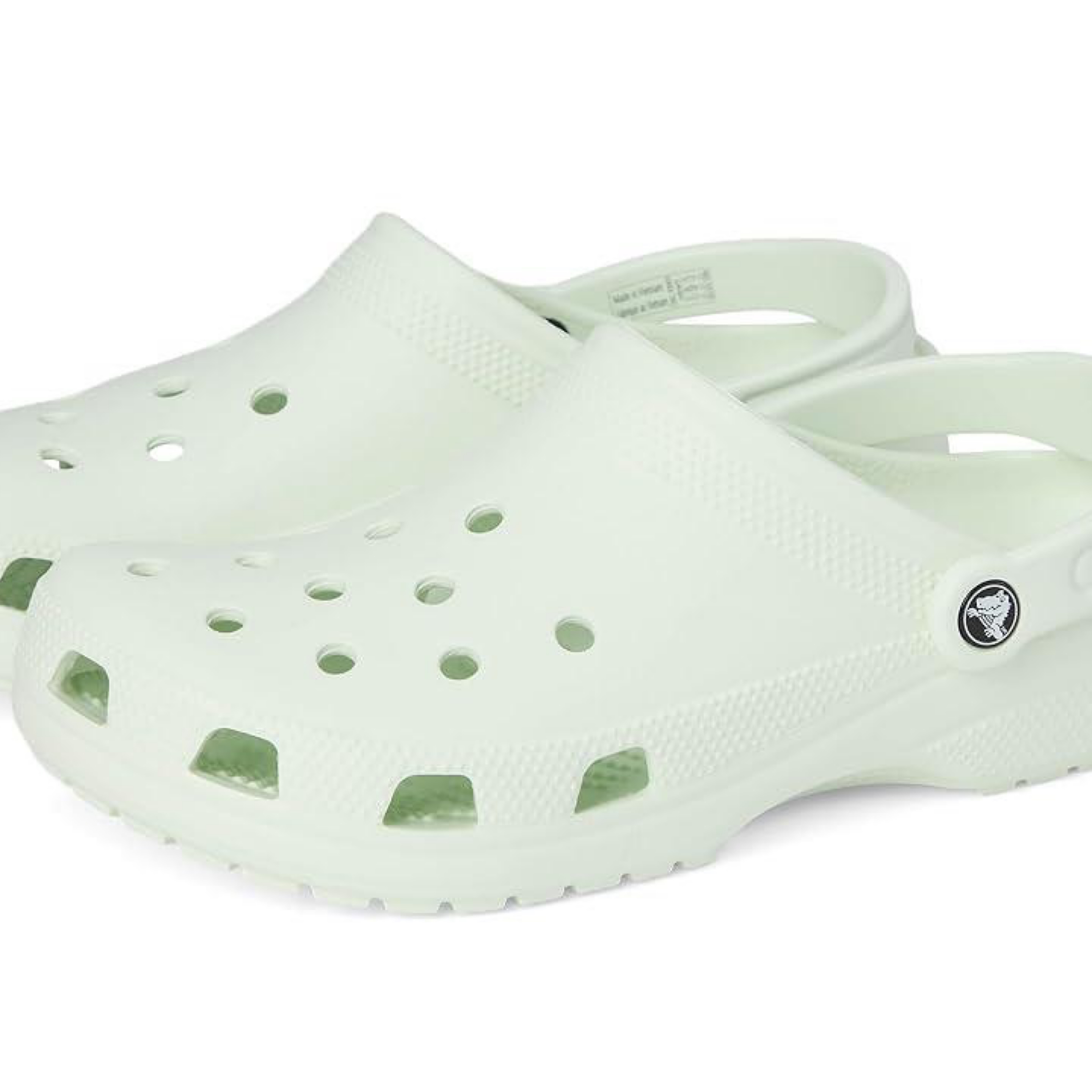 Croc  Clog (Mint Tint) 