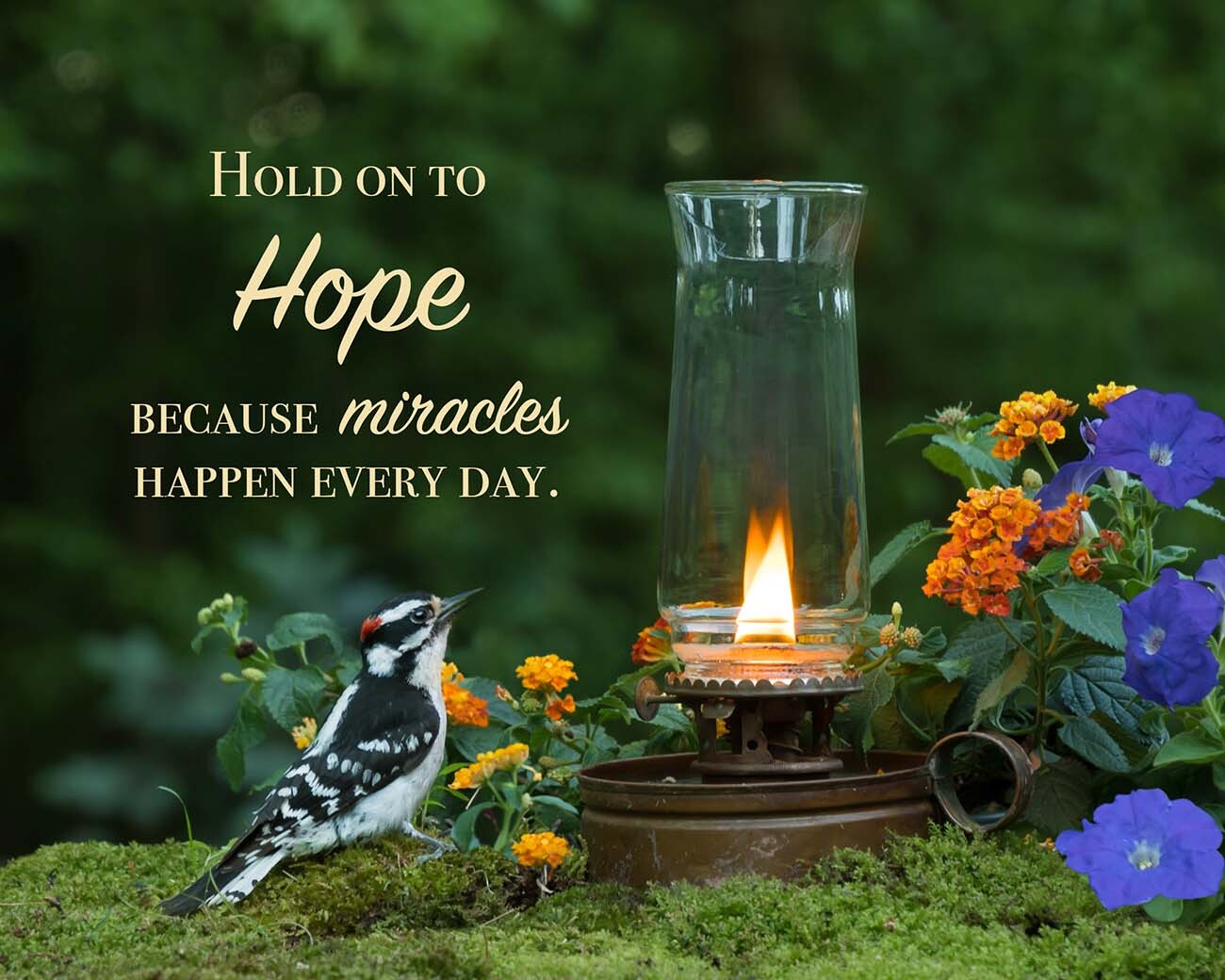 Hold on to Hope