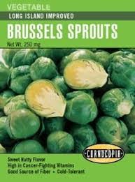 Long Island Improved Brussels Sprout Seed Pack