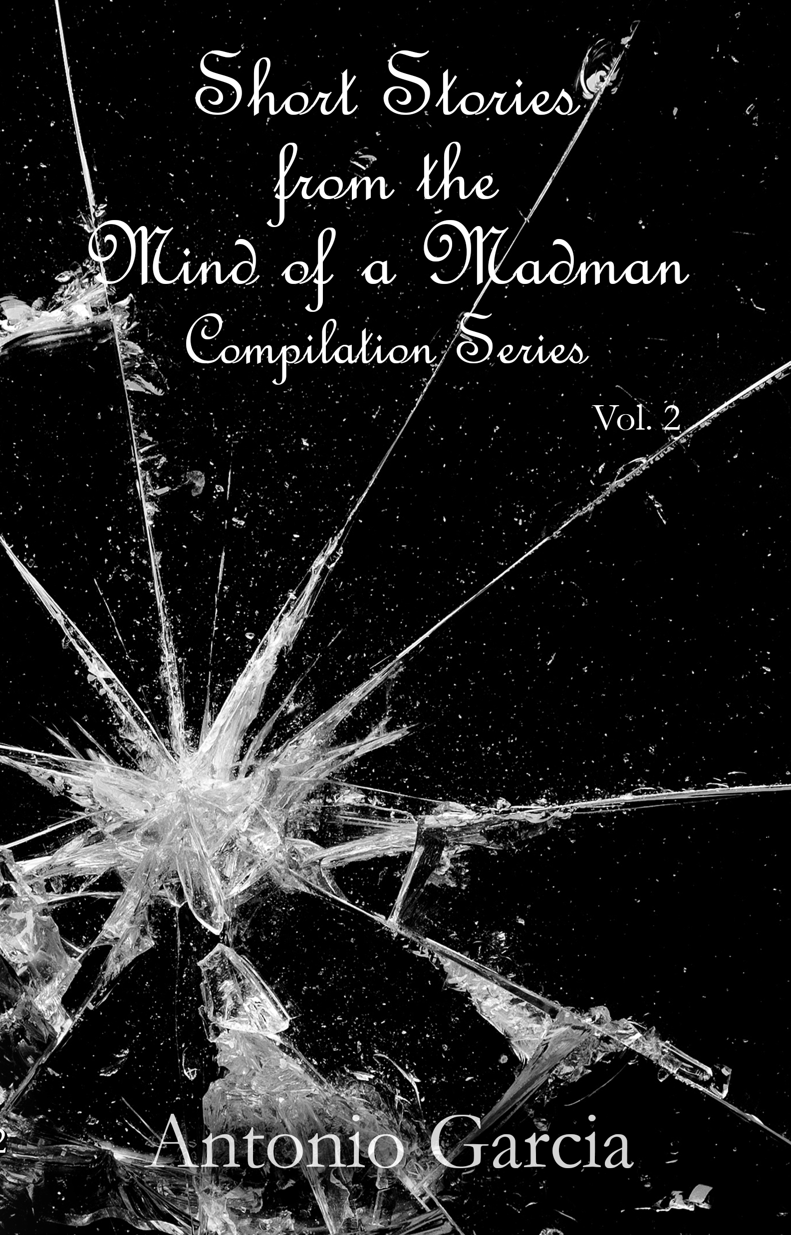 Vol 2 - Short Stories from the Mind of a Madman by Antonio Garcia