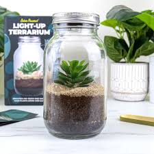 Solar Powered Light-Up Terrarium