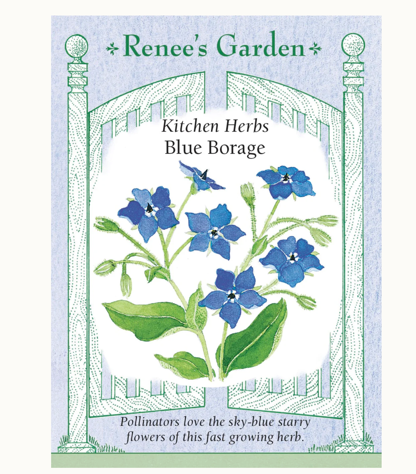 Renee's Garden | Kitchen Herbs Blue Borage