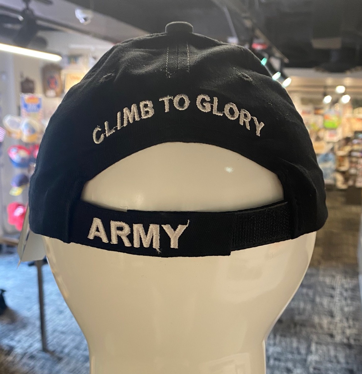 10th Mountain Division Logo Hat Black