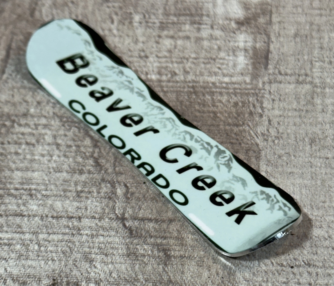 License Plate Snowboard Magnet