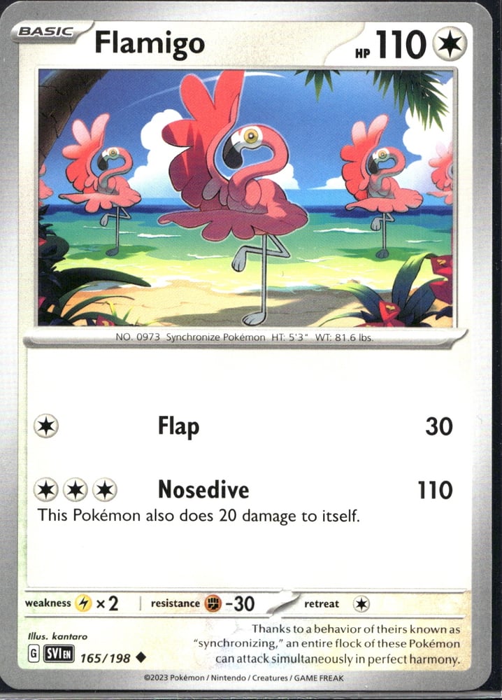 Flamigo - SV01 165/198