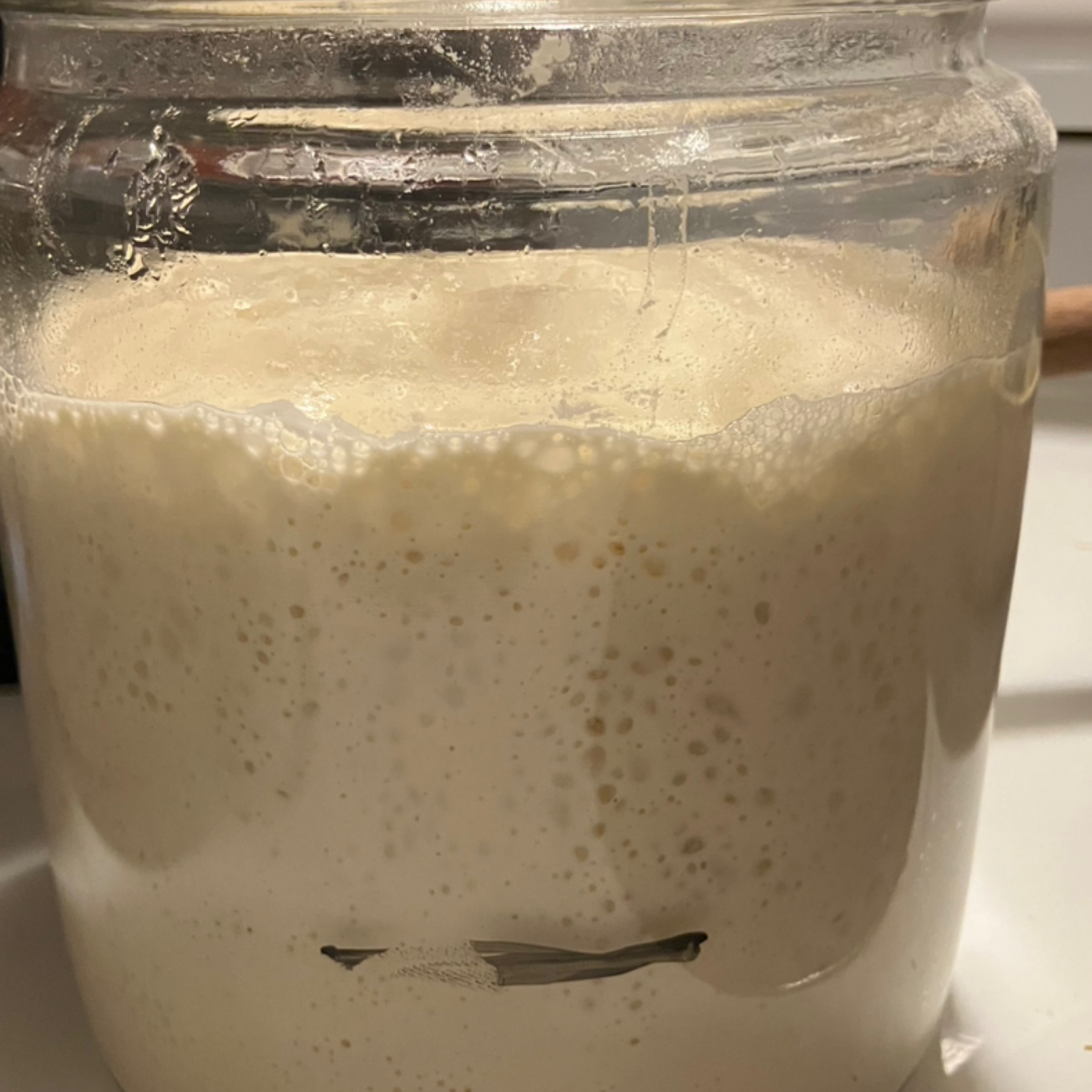 Photo of Active starter