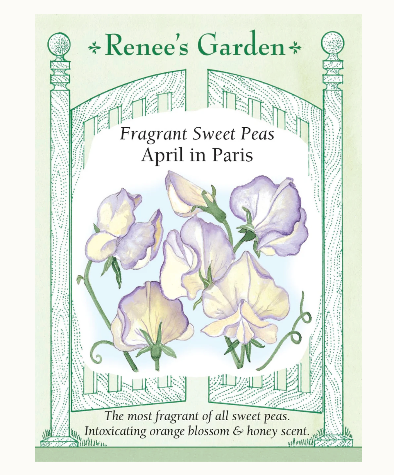 Renee's Garden | Fragrant Sweet Peas April in Paris