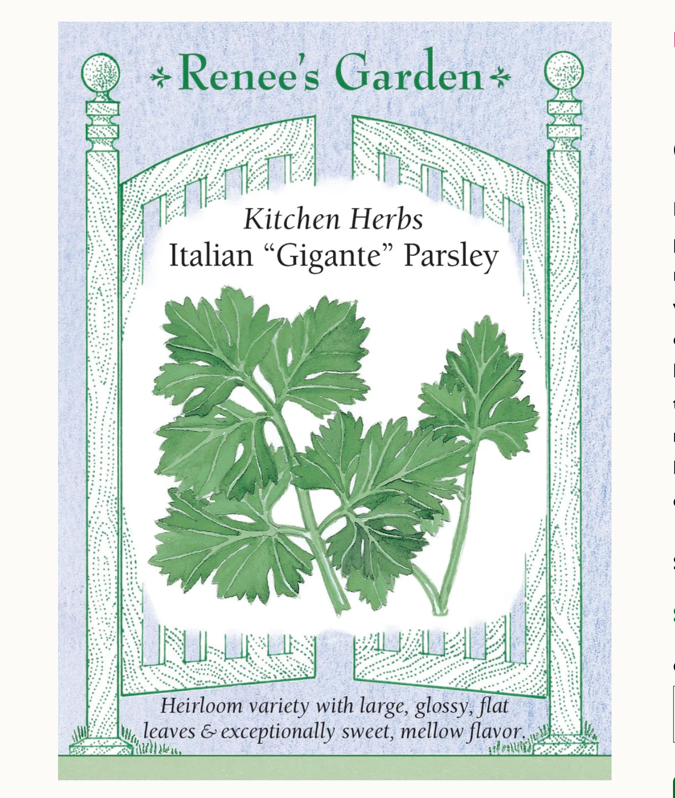Renee's Garden | Kitchen Herbs Italian "Gigante" Parsley