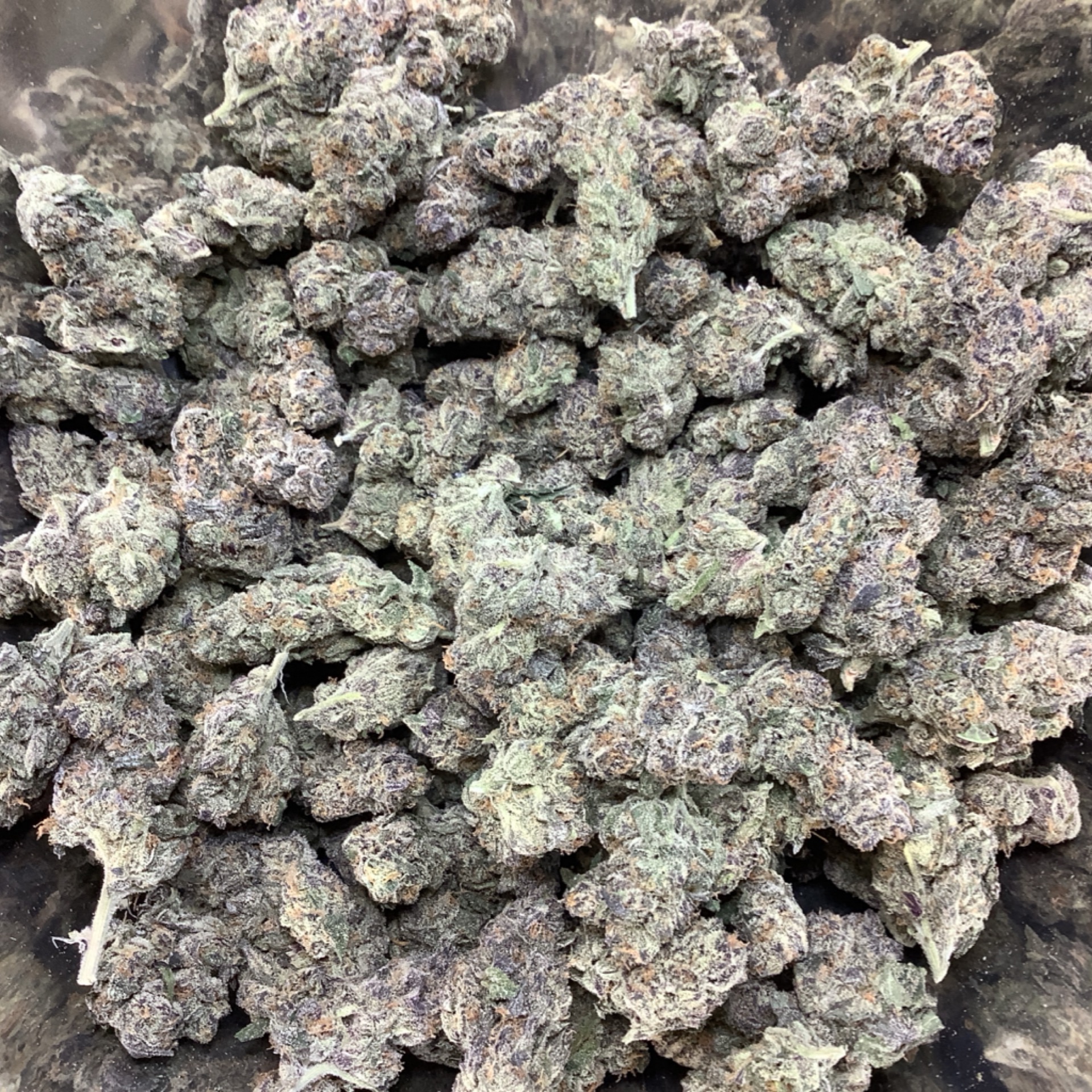 Blueberry 25.70% THCA - Regular