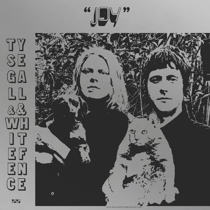 Ty Segall & White Fence - Joy by Unknown Artist - View 1