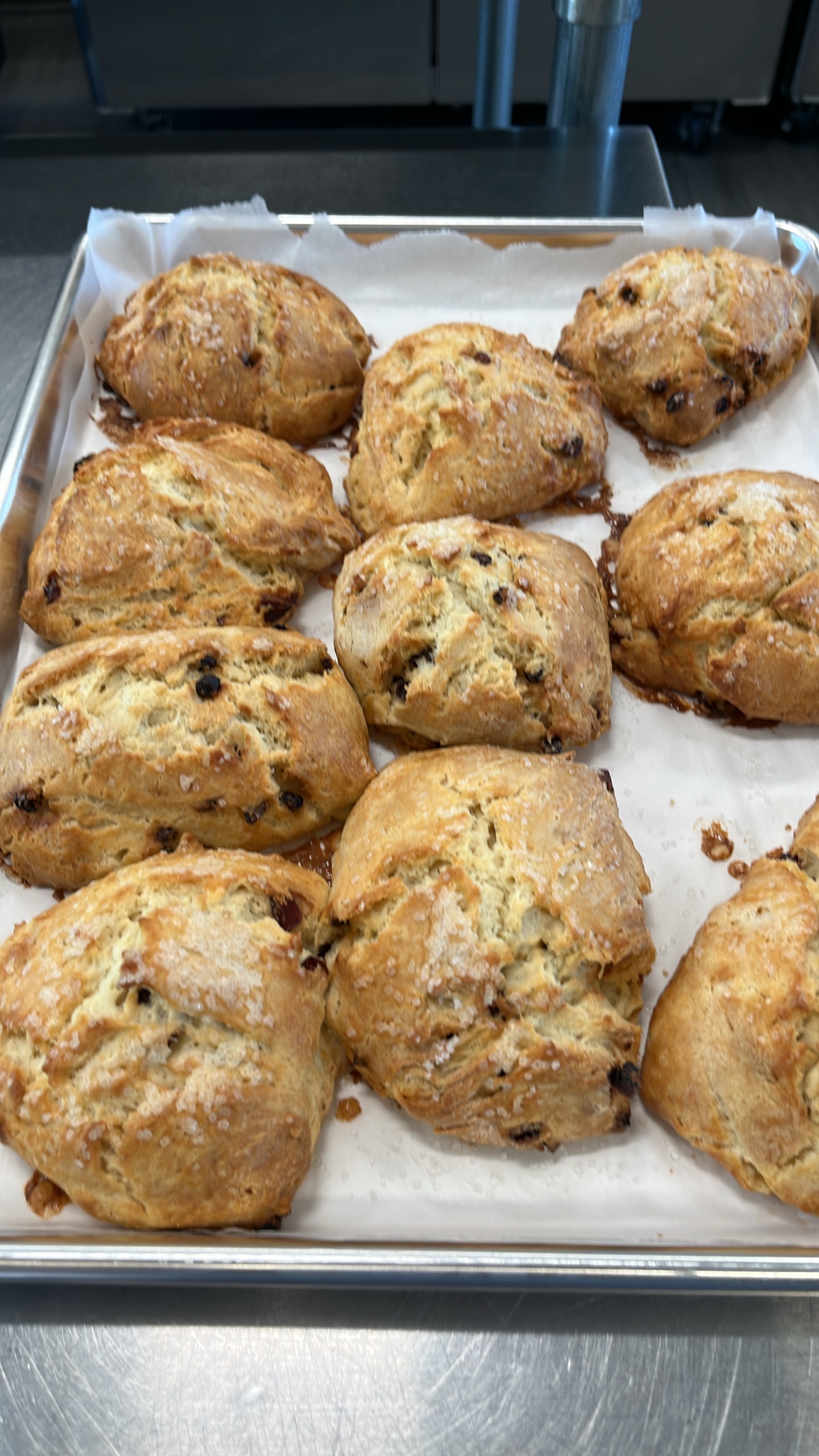 Photo of Currant Scone