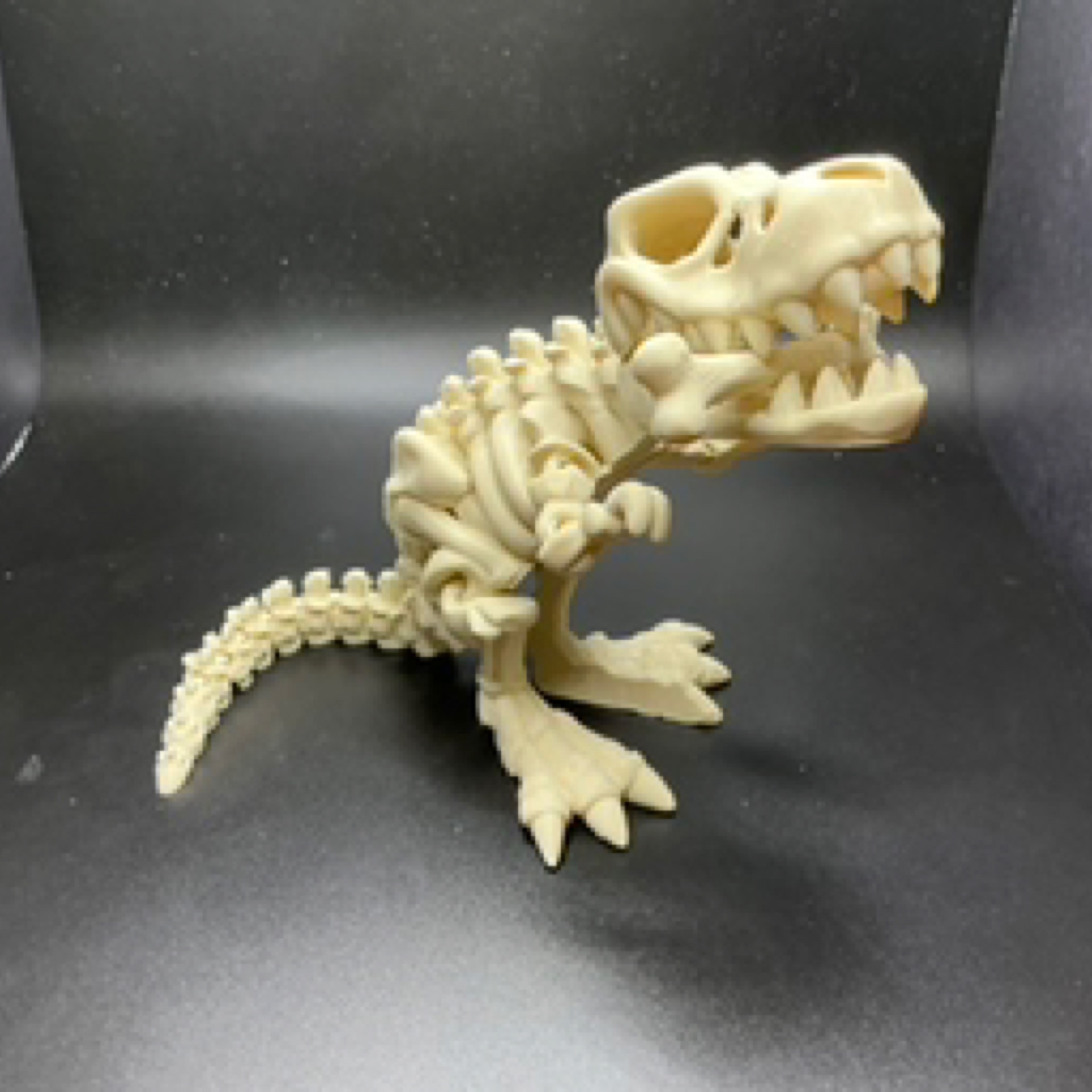 Skeleton T-Rex