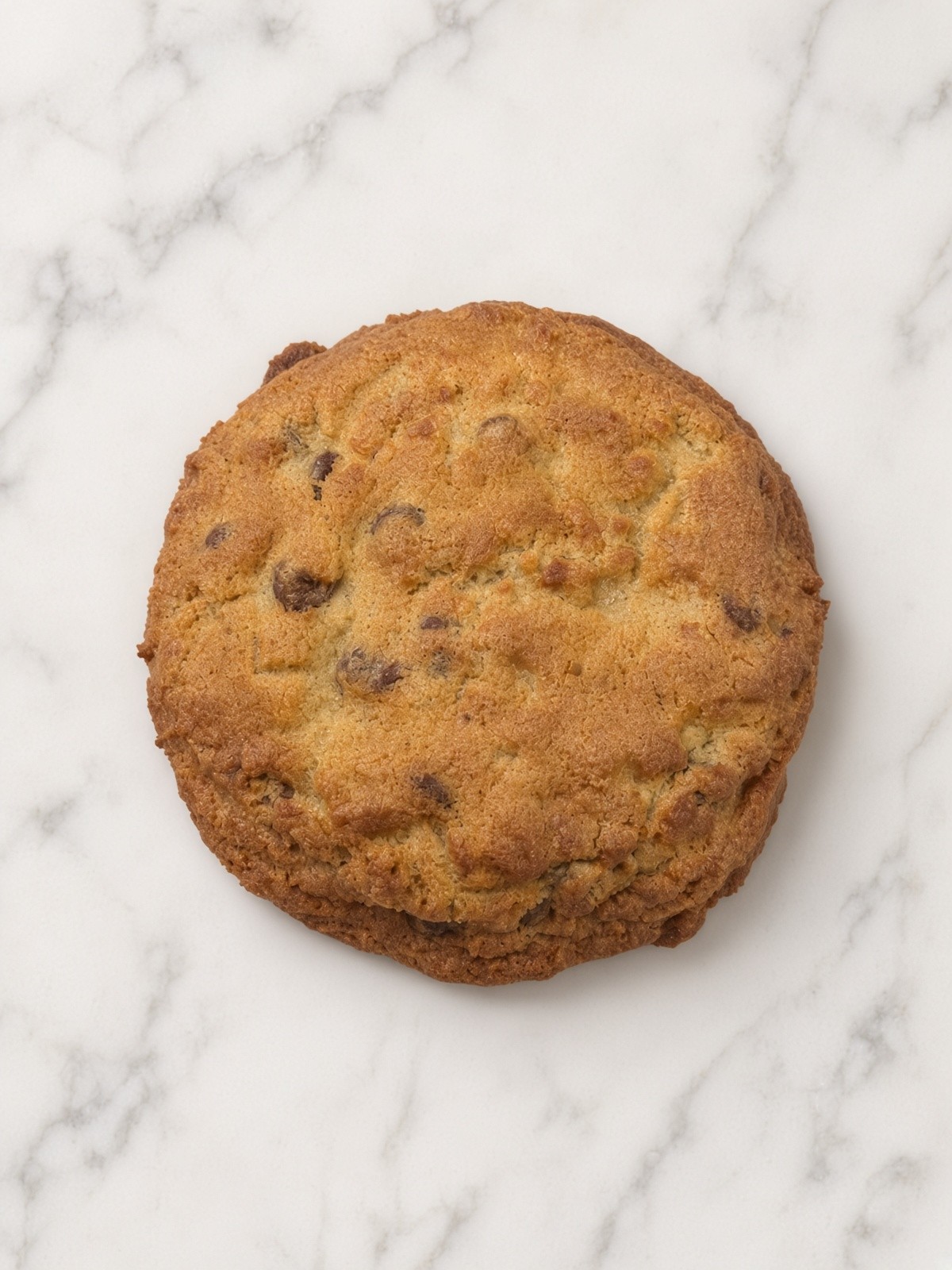 Chocolate Chip Cookie