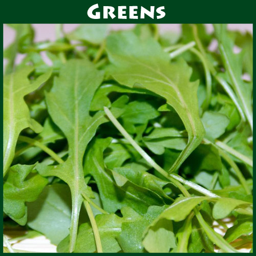 Arugula
