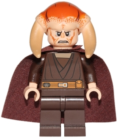 sw0420 Saesee Tiin - Dark Brown Robe, Cape