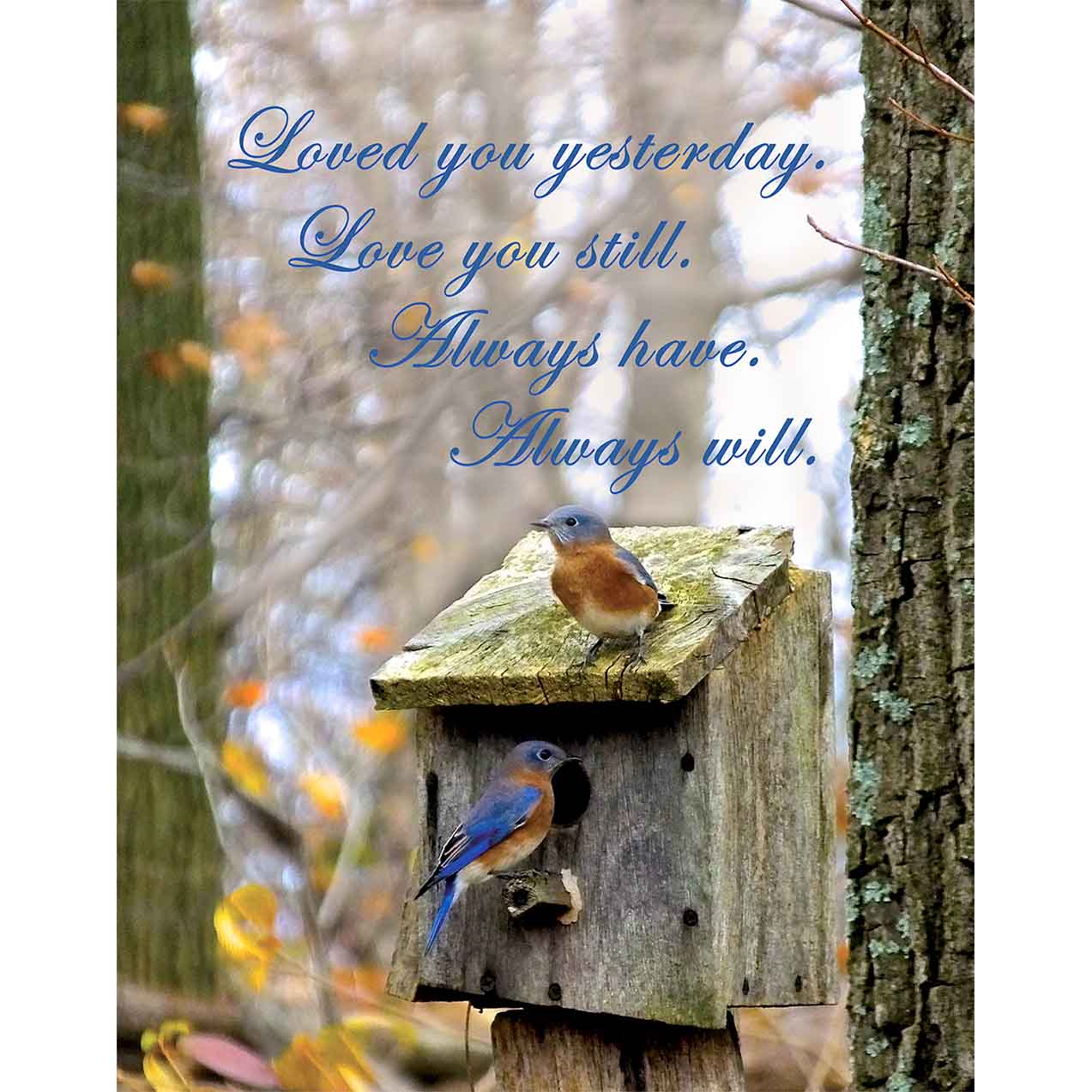 Love You Always