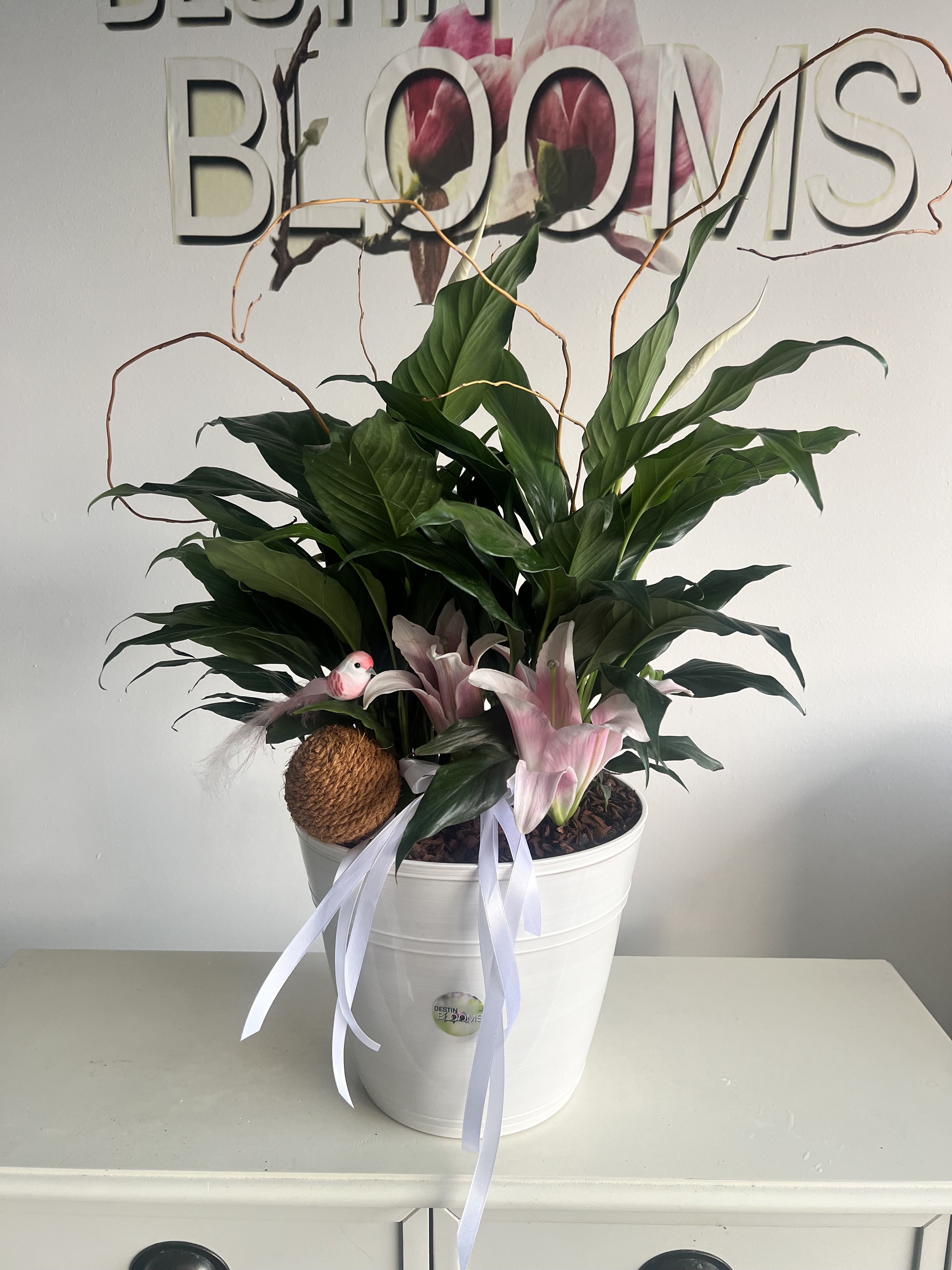 Peace Lilly Blooming Plant - Thank You flowers - in Fort Walton Beach, FL