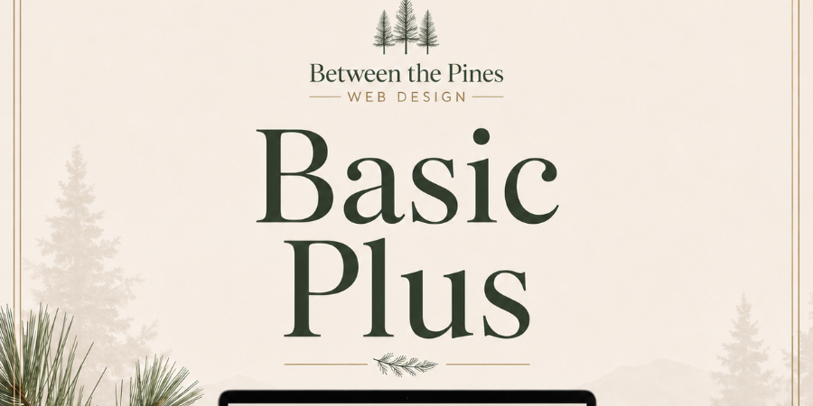 Basic Plus payment graphic