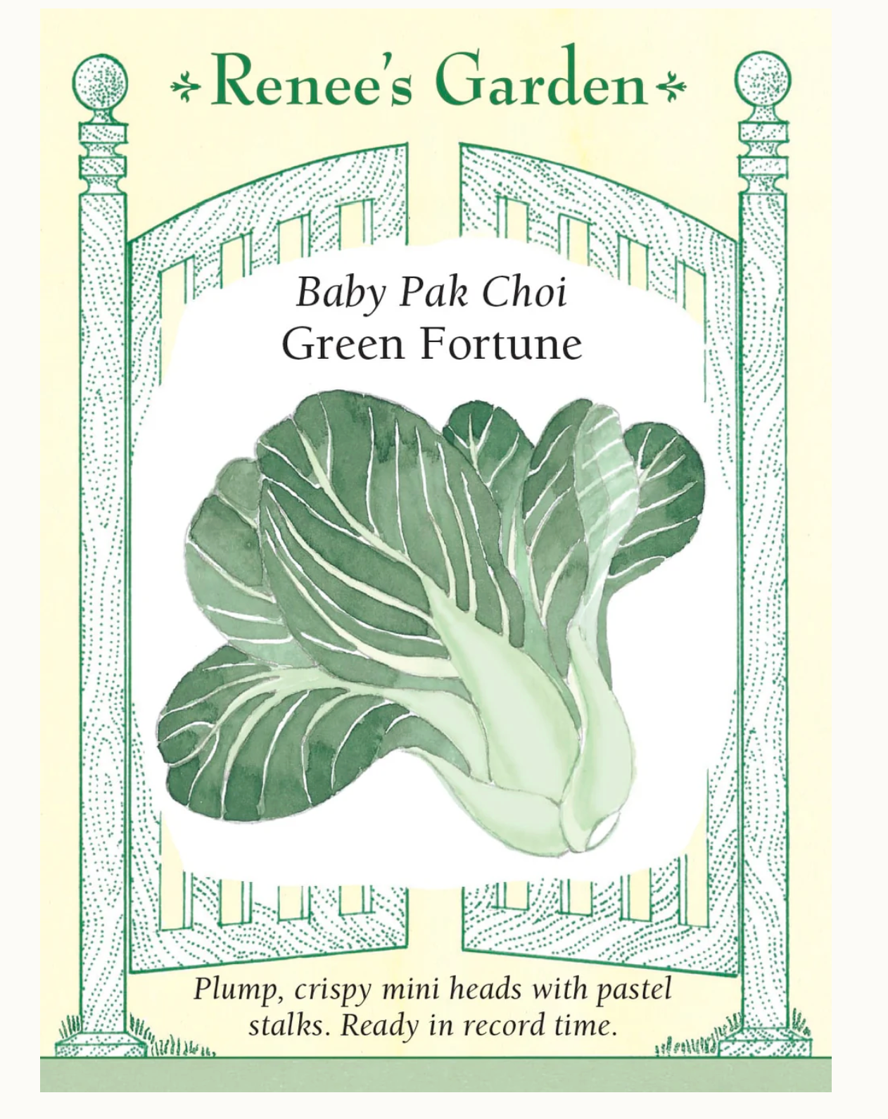 Renee's Garden | Baby Pak Choi Green Fortune