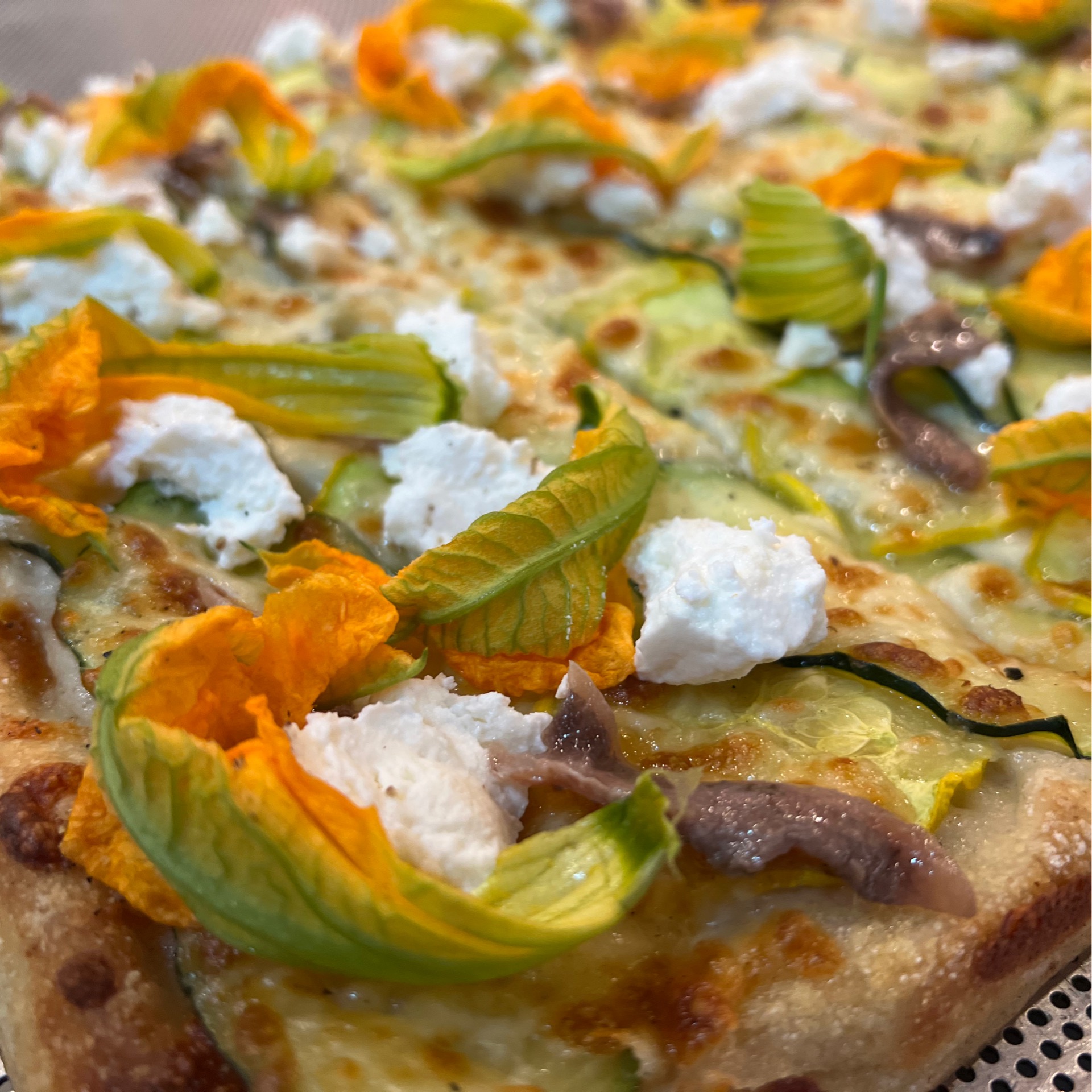 Fior di zucca