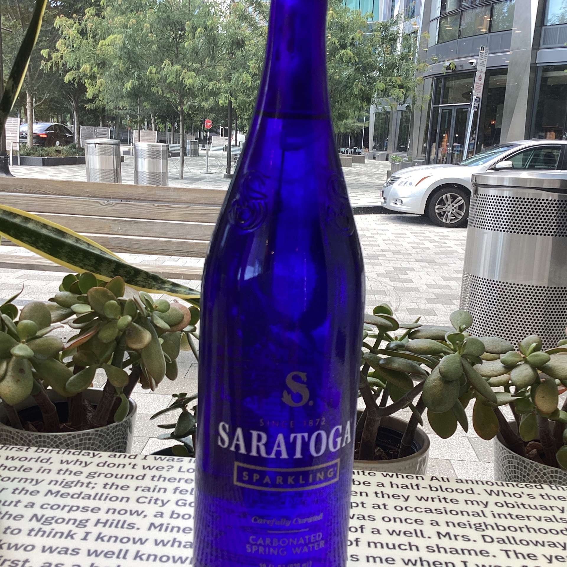 Saratoga Sparkling