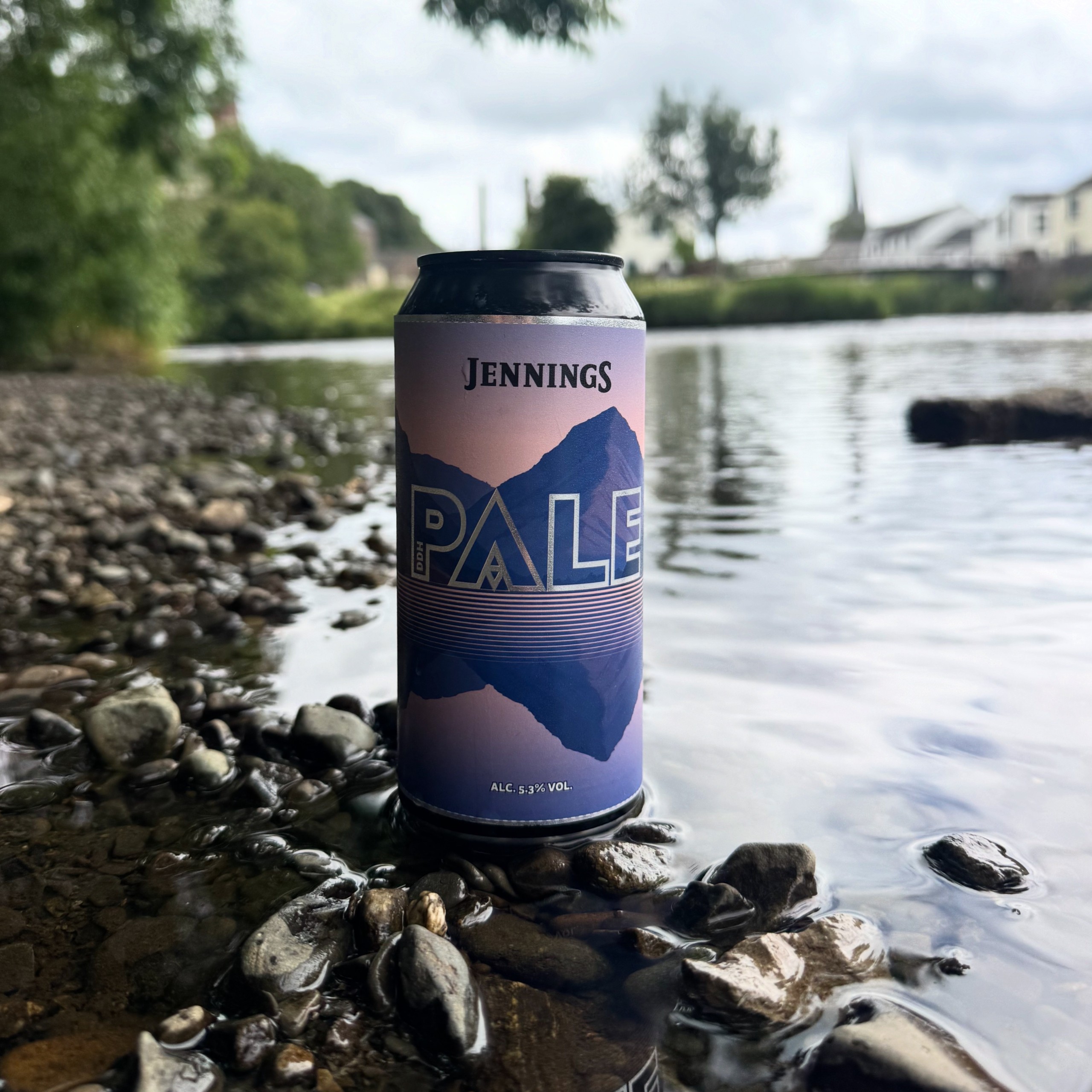 Jennings DDH Pale case of 12