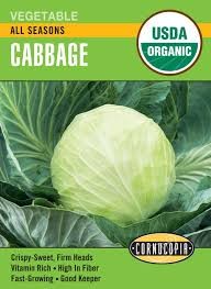 All Seasons Cabbage Seed Pack, Organic