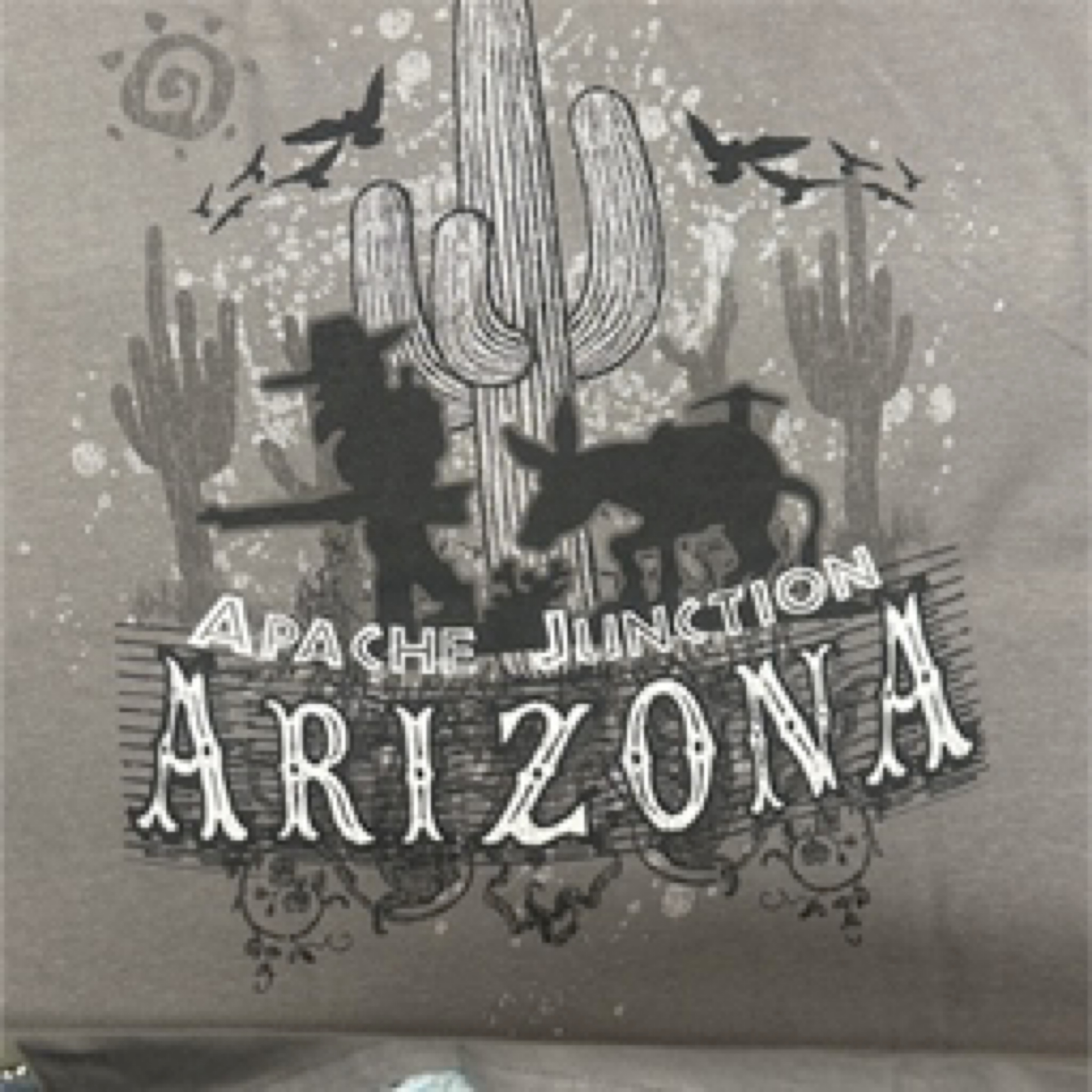 Cactus Shadows w/Prospector- GRAY