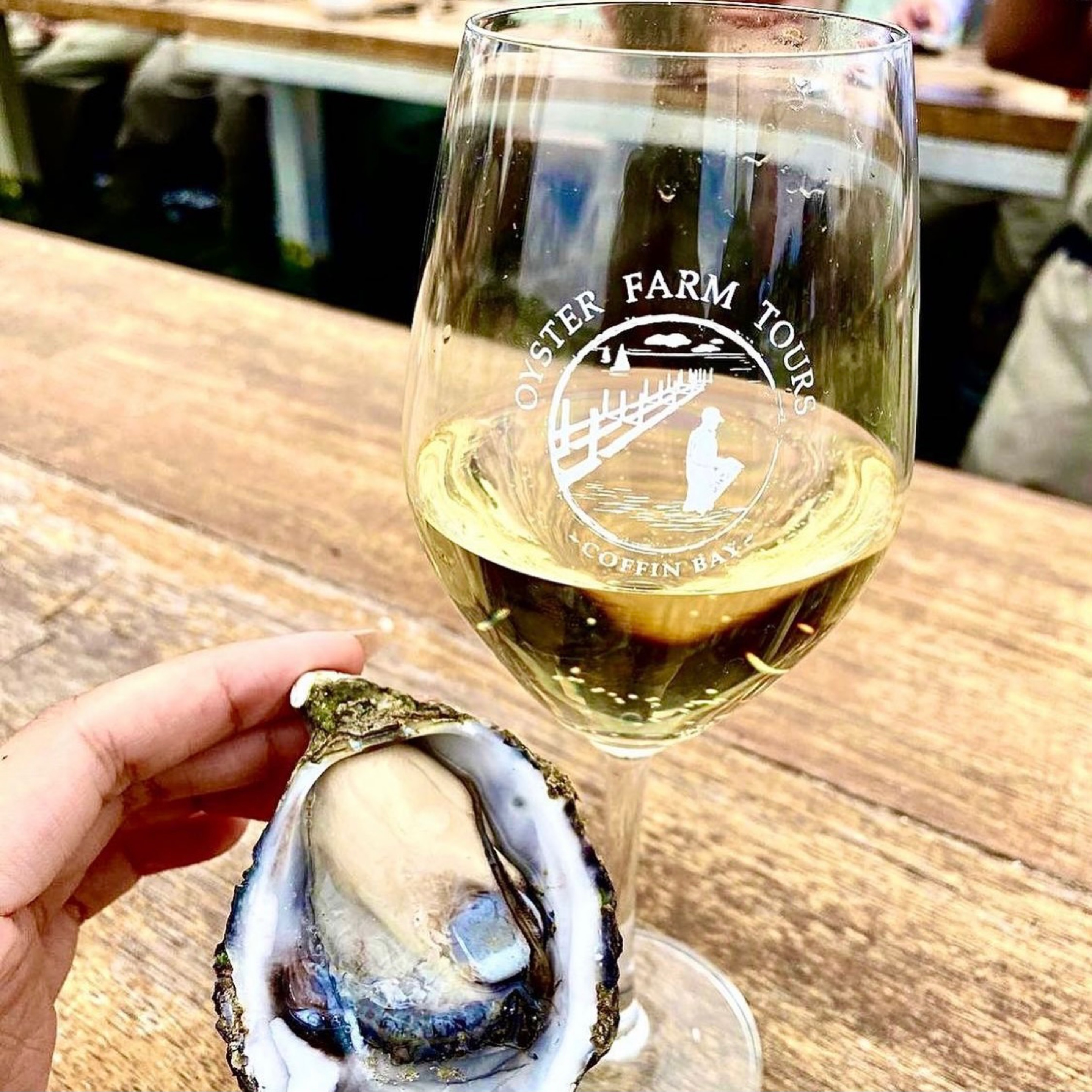 Oyster Farm Tour Wine Glass