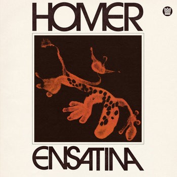 Homer - Ensatina by Unknown Artist - View 1
