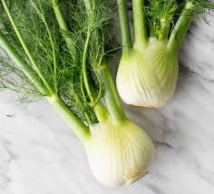 Fennel, 4"