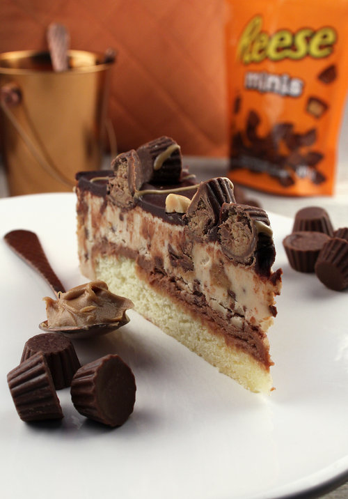Reese's Peanut Butter Blondie