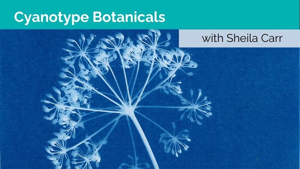 Cyanotype Botanicals