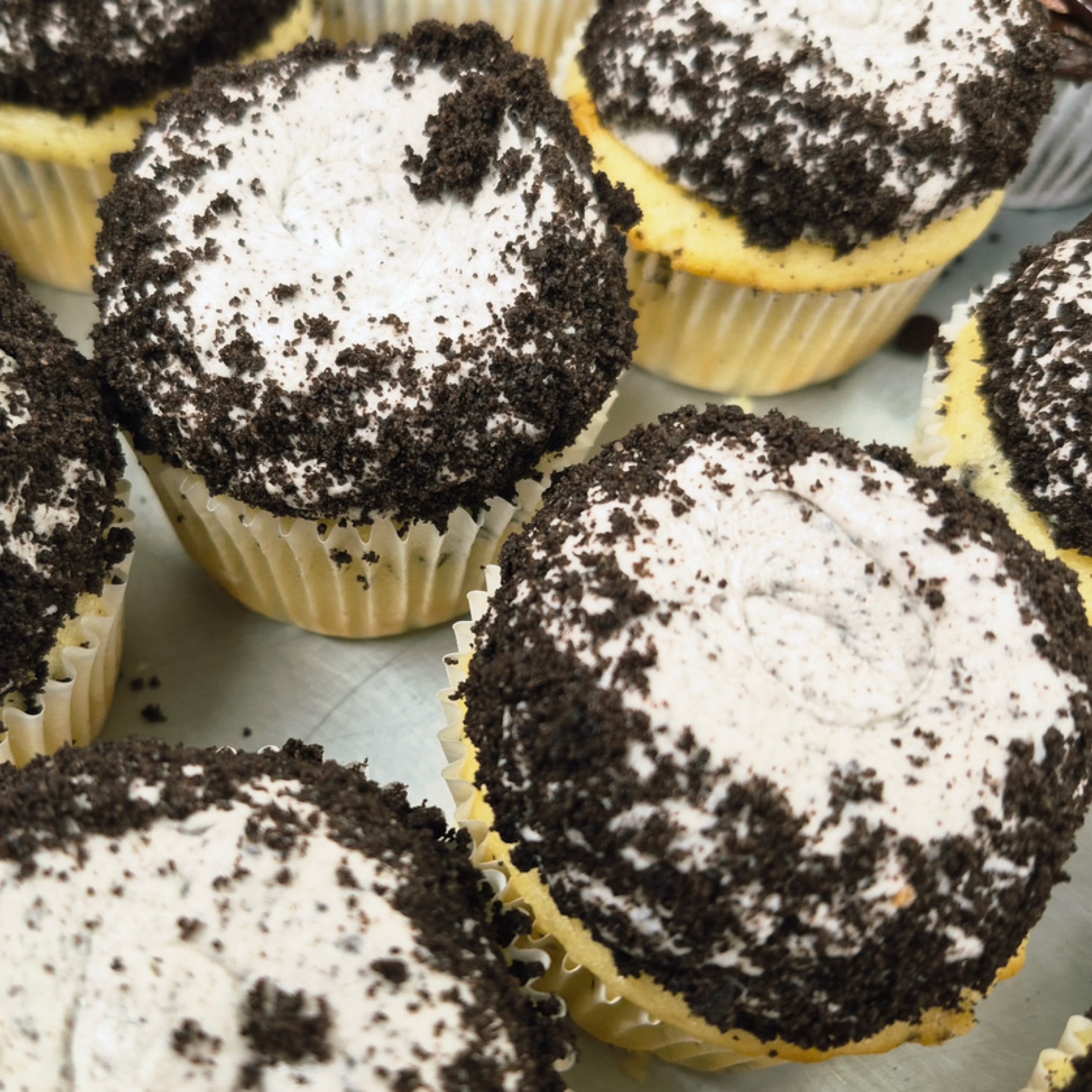 Single Vanilla Oreo Cupcake