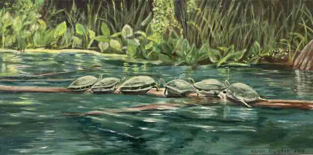 637-13 Turtles on the Santa Fe
