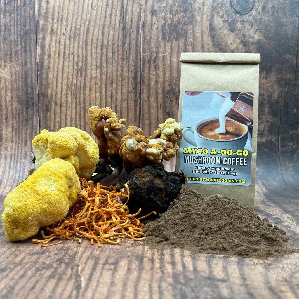 Mushroom Coffee - Regular