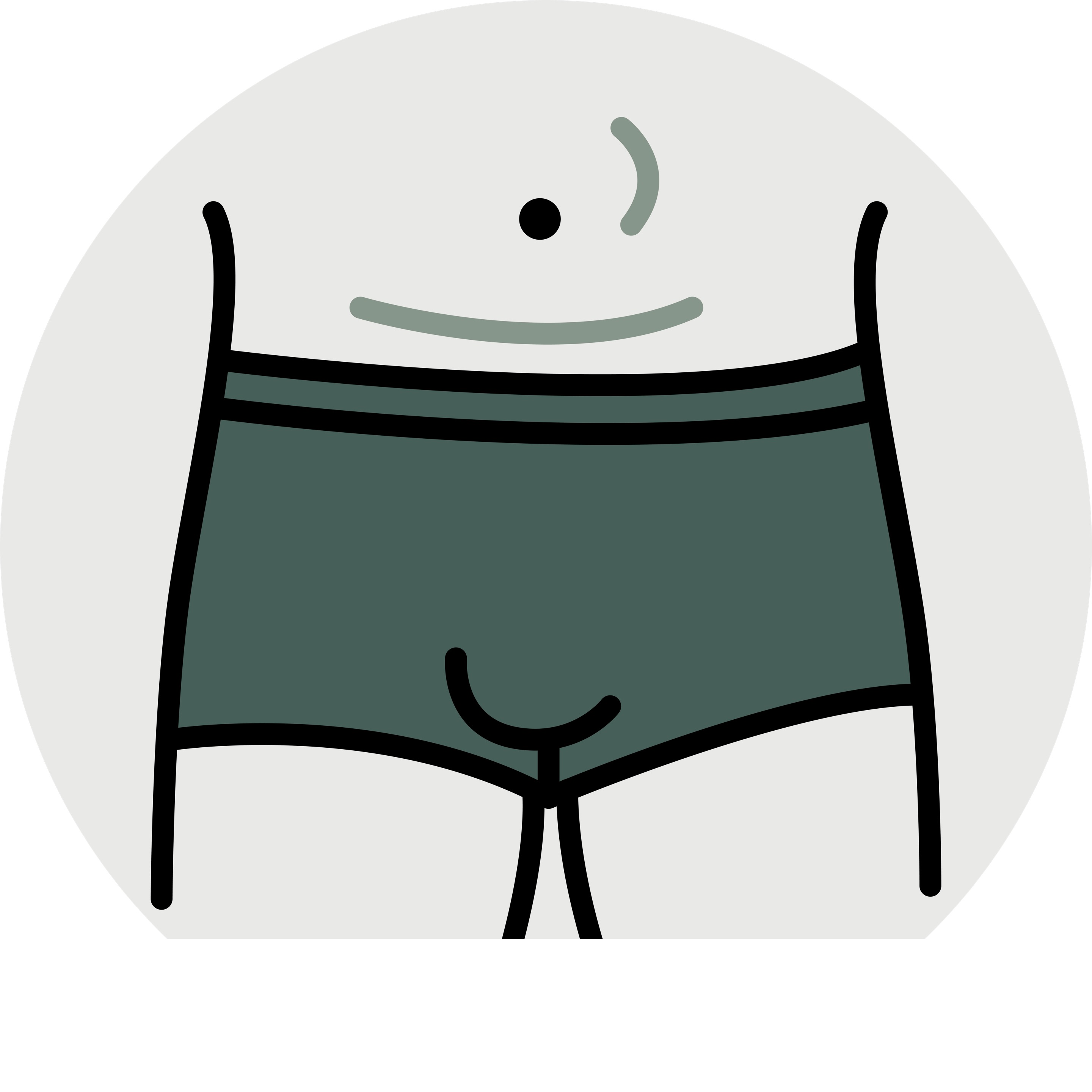 WAX STOMACH