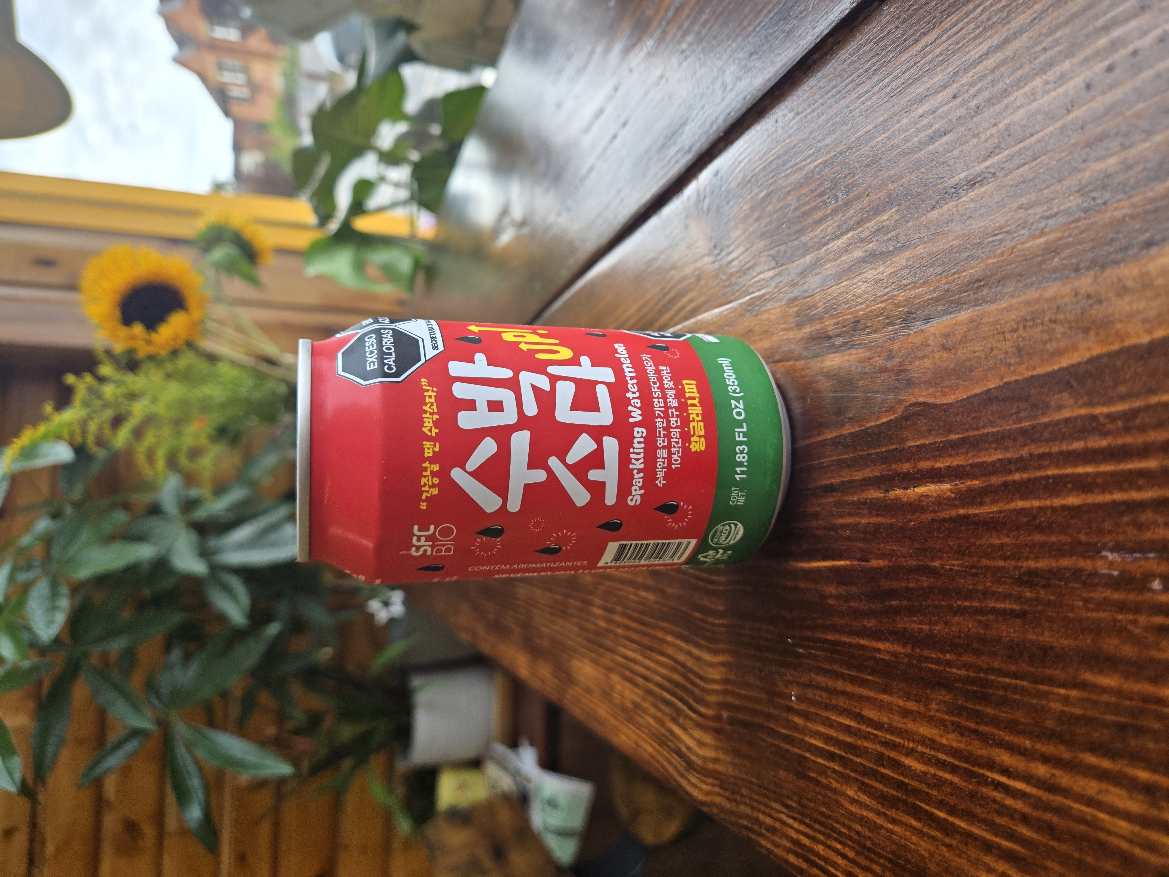 Sparkling Watermelon