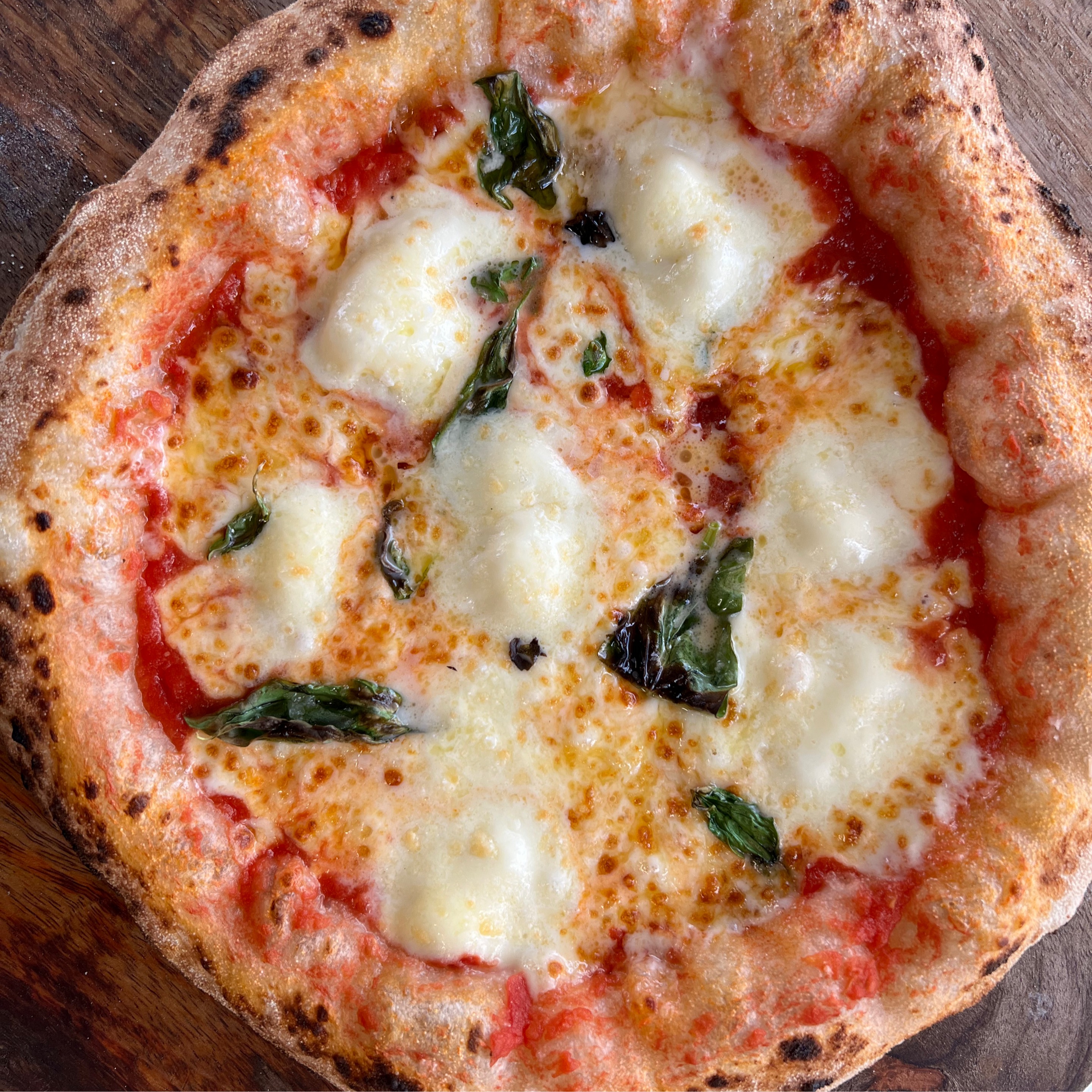 CLASSIC MARGHERITA