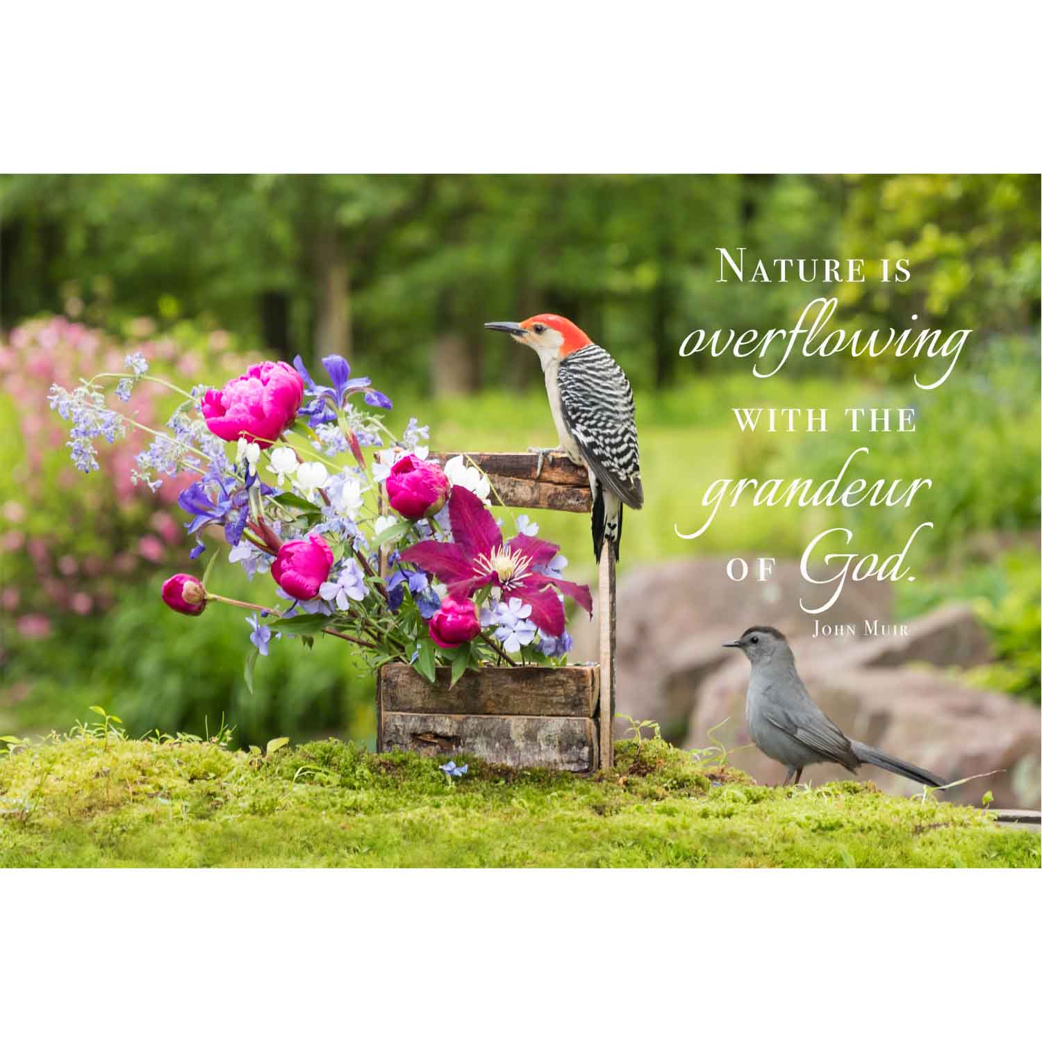 Nature Is Overflowing